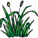 ��---KASHKA... Avatar